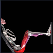 دفع الأرجل